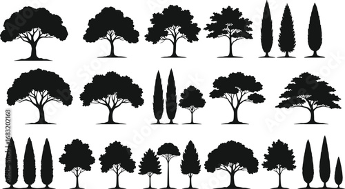Silhouette Vector Collection of Deciduous and Evergreen Trees for Landscape Design, Nature Illustrations, Park Elements, and Forest Artwork