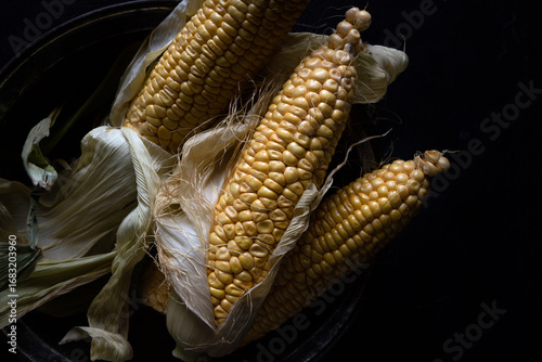 Close-up of raw yellow corn cobs with husks partially peeled back, arranged on a dark textured background.