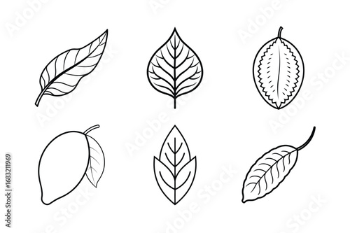 set of leaves vector