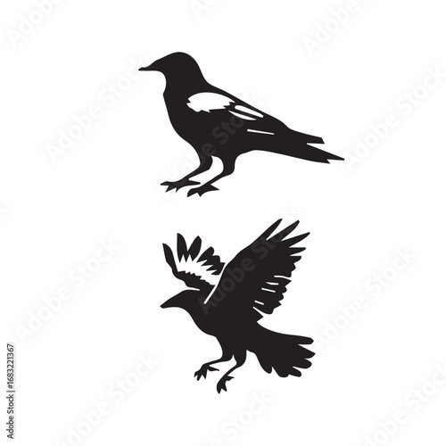 crow set silhouette tattoo,crow set silhouette png ,crow set silhouette flying ,crow set silhouette images
