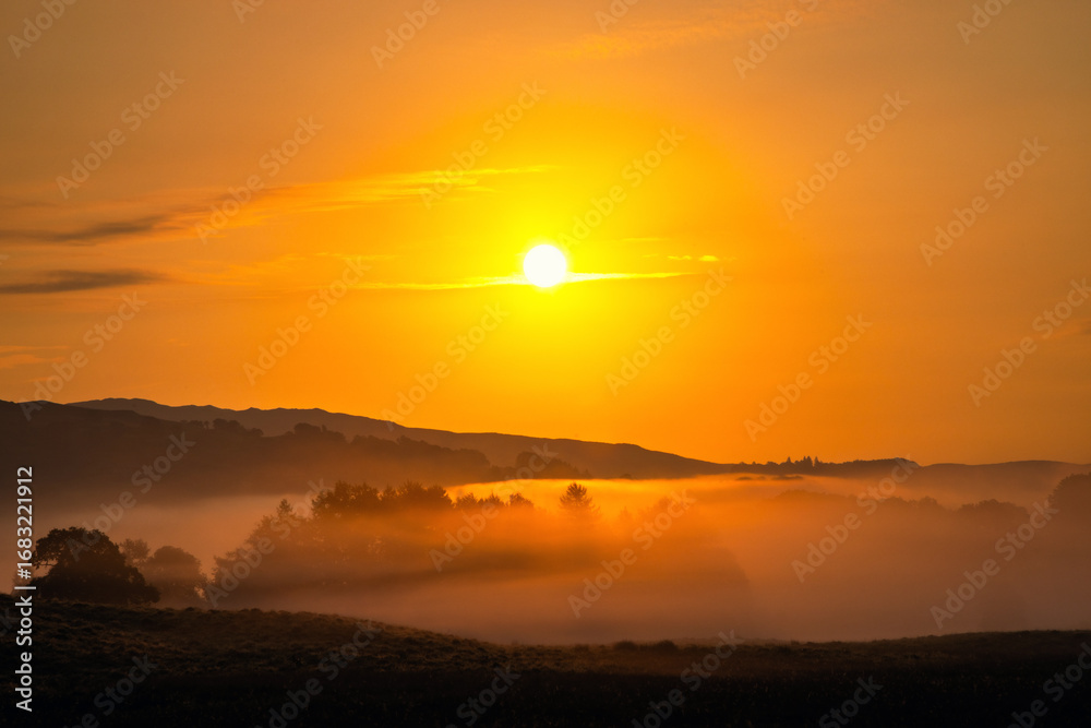 Obraz premium Misty mountain sunrise with trees silhouetted in the misty valley, Ambleside, The Lake District, Cumbria