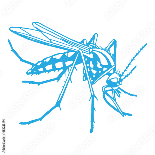 Mosquito