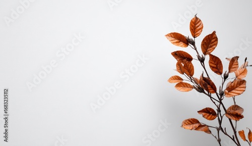 Light brown leaves on a branch against a light gray background