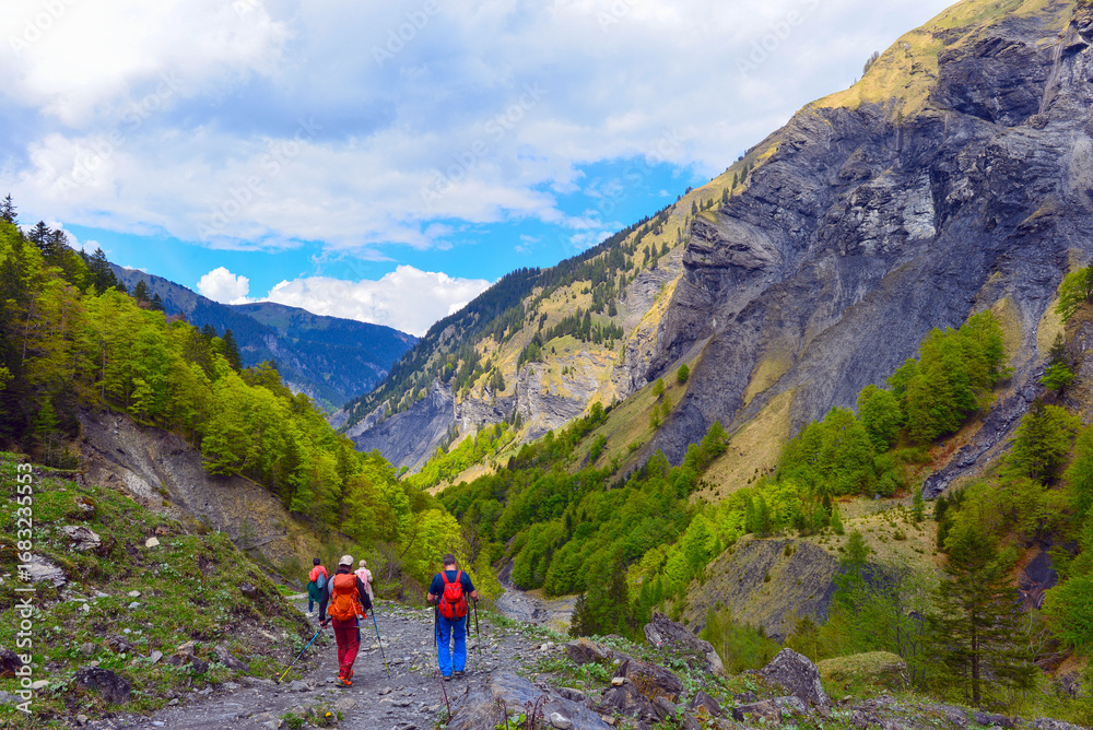 Fototapeta premium Wanderweg von der Wasserfallarena von Batöni nach Weisstannen im Weisstannental , Mels, Kanton St. Gallen