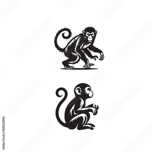 Monkey Silhouette Vector Set Black and White

Wild Monkey Animal Outline Collection

Primate Silhouette Illustration Pack