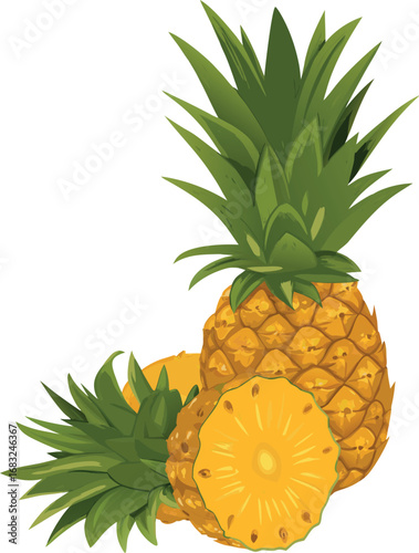 Fresh ripe tropical pineapple fruit with green leaf isolated on a white background