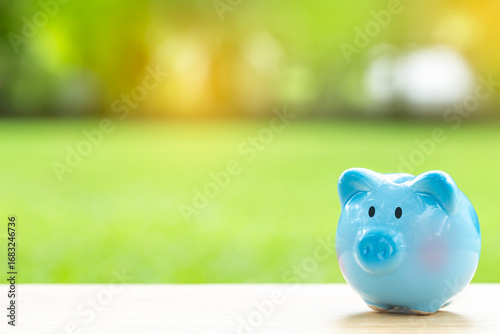 piggy bank  over blurred green garden  background