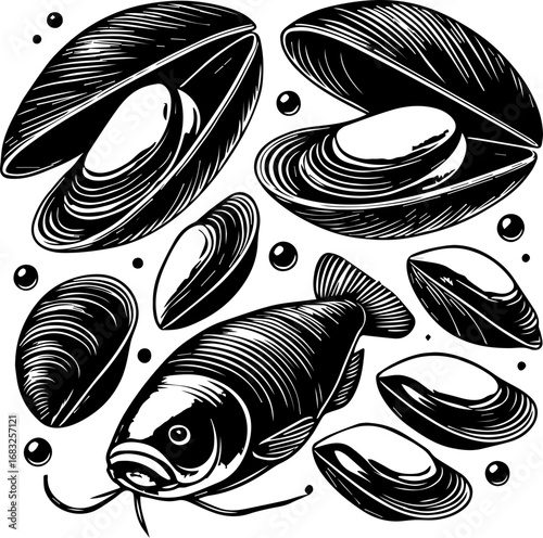 Illustration of a fish surrounded by open and closed mussels with small bubbles on a white background