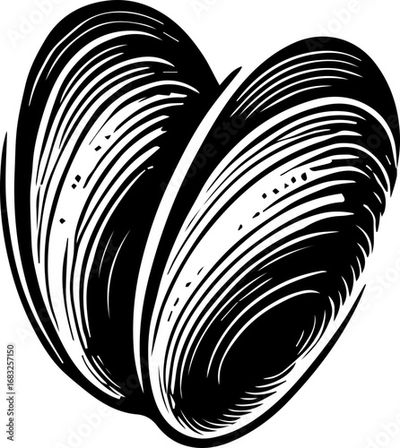 Illustration of two stylized mussels with detailed shell texture in black and white color palette art