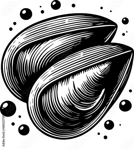 Illustration of two mussels with detailed line work and small bubbles surrounding them in black and white