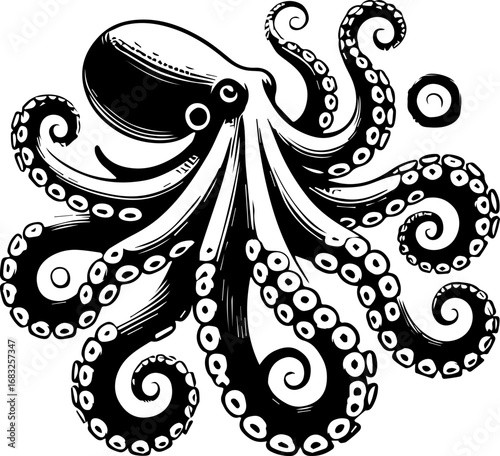 Illustration of a detailed octopus with curling tentacles in black and white ink drawing style