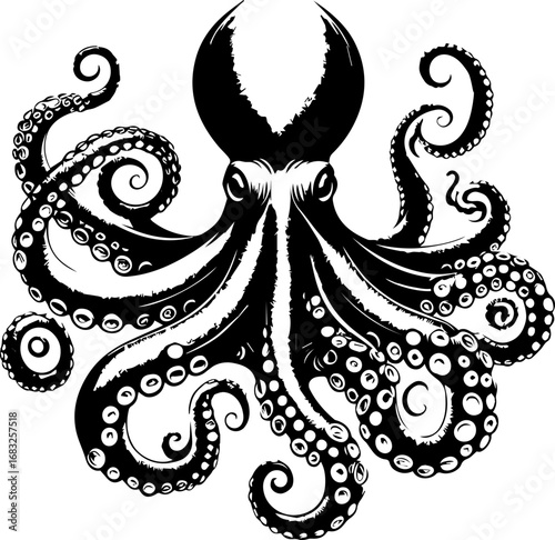 Detailed black and white illustration of an octopus with curled tentacles on a white background design