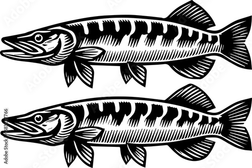 Two stylized black and white fish illustrations with detailed fins and textured bodies swimming to the left