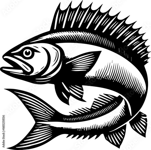 Illustration of two fish swimming one above the other in a stylized black and white woodcut style