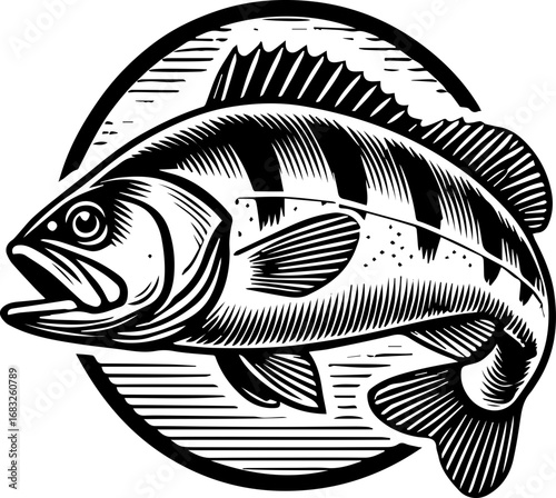 Illustration of a detailed fish with stripes inside a circle on a white background drawing style