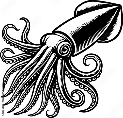 Illustration of a detailed squid with tentacles and suckers in black and white ink drawing style art