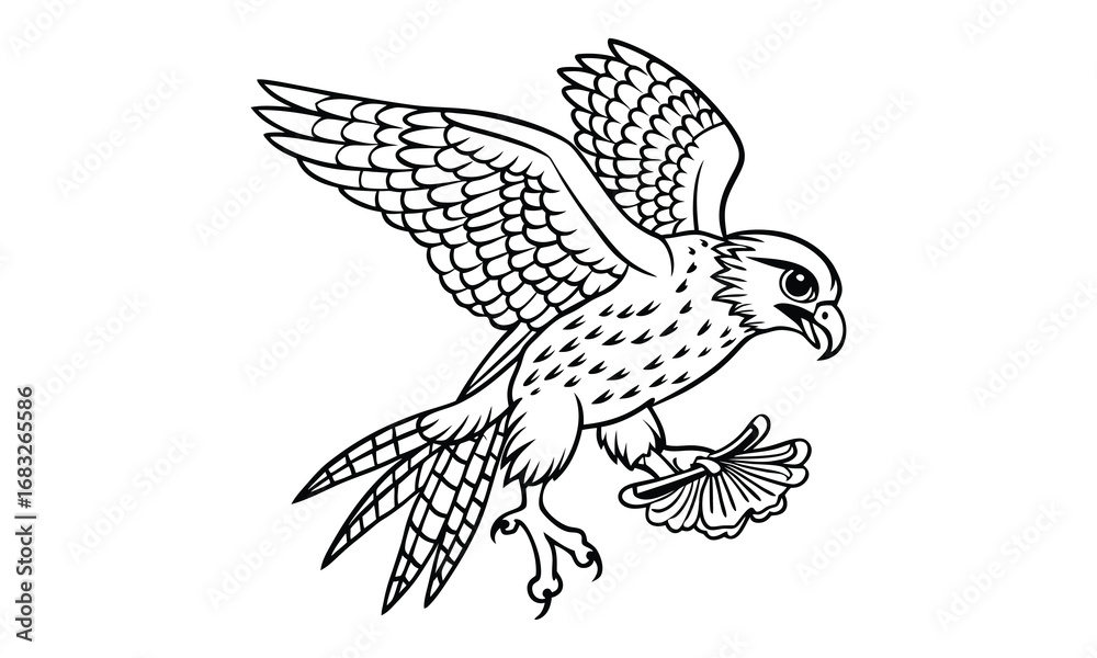Obraz premium Falcon animal Kids t shirt design silhouette and vector line art, High-Quality Illustration, Ideal for Relaxation and Stress Relief, Perfect for Adult Coloring Books and Art Therapy.