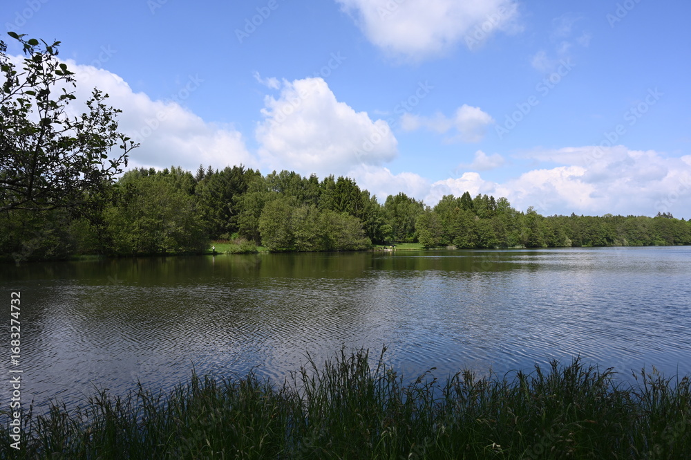 Fototapeta premium Heisterberger Weiher im Westerwald