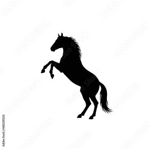 Silhouette of a horse rearing up on its hind legs.
