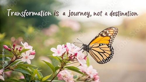 Transformation is a Journey Inspirational Butterfly Quote.