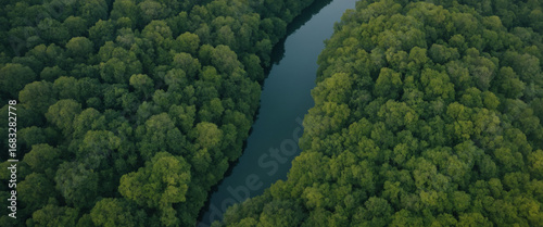 Aerial view of winding river through dense green forest, misty atmosphere, cinematic drone shot