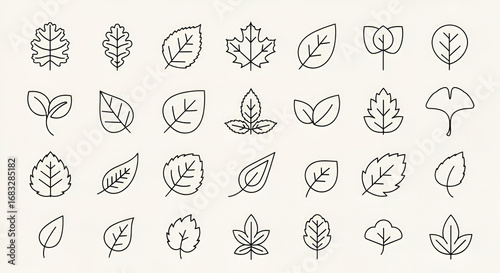 Wallpaper Mural Leaf Line Icons Set | Eco Nature Outline Collection Torontodigital.ca
