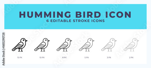Humming bird icon in thin line. Bold line. Regular line. Editable stroke.