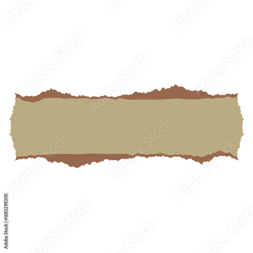 torn paper background