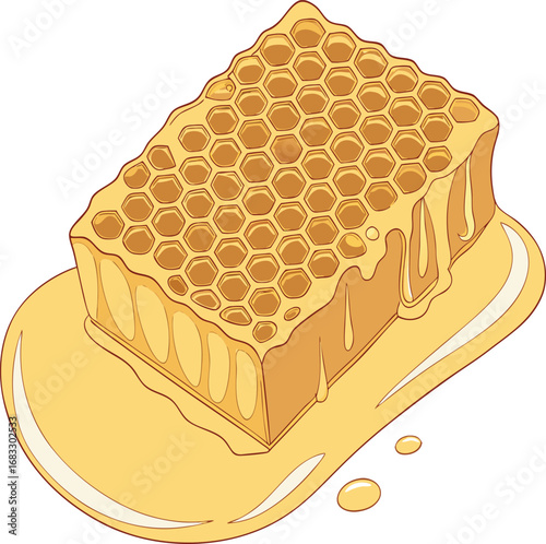 honeycomb with honey