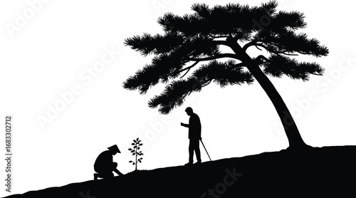 Silhouette of two people planting small tree under large tree, environmental care, gardening, nature conservation, teamwork, outdoor activity vector.