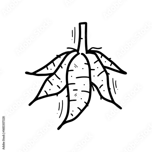 Hand Drawn Cassava Illustration. Doodle Vector. Isolated on White Background - EPS 10 Vector