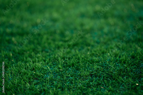 Saturated Green Artificial Turf grass close up