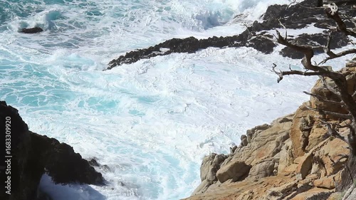 Point Lobos State Park in Carmel-By-The-Sea along the California coast, north of Big Sur.