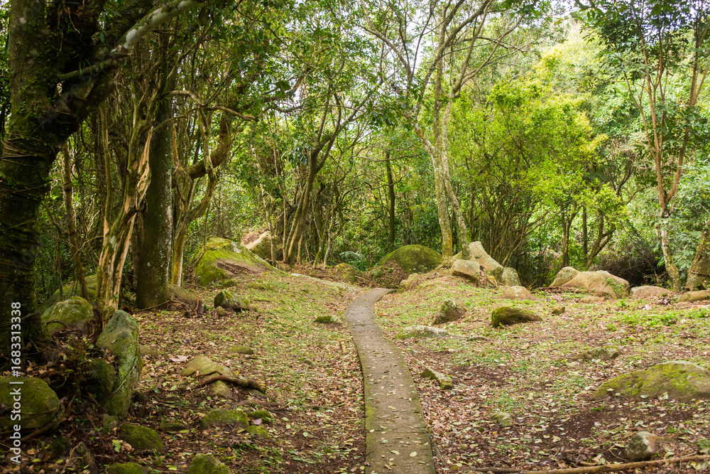 Fototapeta premium Paved hiking path to Praia do Saquinho in Florianopolis island, Brazil