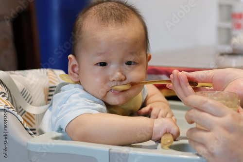 Feeding Session Captured with Direct Gaze