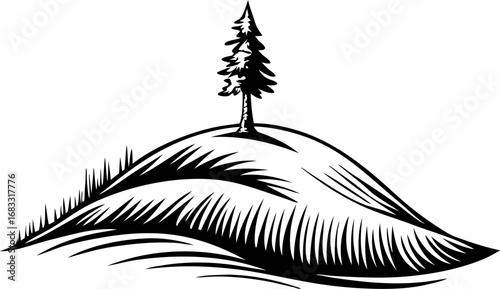 Solitary evergreen tree on grassy hilltop, hand drawn vintage black and white landscape sketch illustration