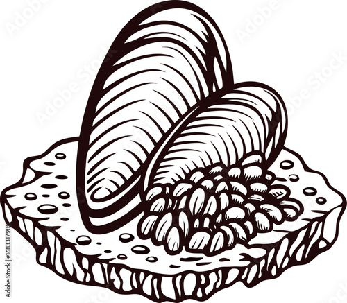 Hand drawn engraved mussels and shellfish on bread slice vintage seafood sketch illustration