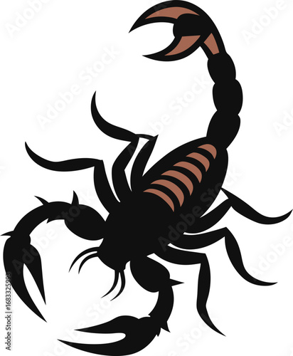 scorpion isolated on white background