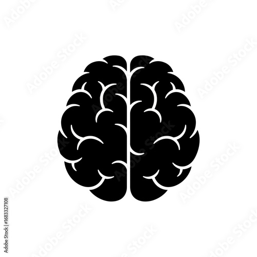 brain isolated on white background