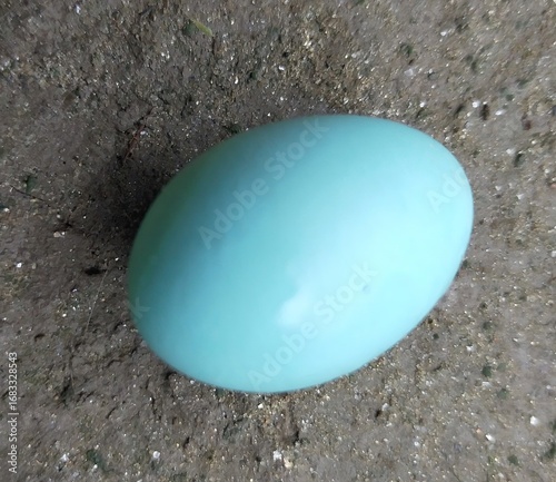A single robin s egg with a beautiful blue hue rests on a textured surface