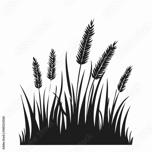 Prairie grass silhouette. This image shows a black silhouette of prairie grass with tall blades and feathery plumes, also known as wild grass or meadow grass. Vector clipart illustration design.