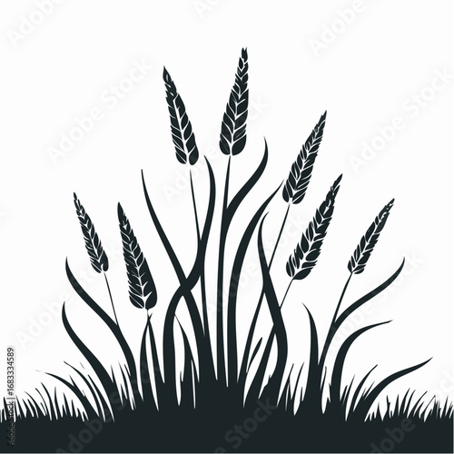 Prairie grass silhouette. This image shows a black silhouette of prairie grass with tall blades and feathery plumes, also known as wild grass or meadow grass. Vector clipart illustration design.