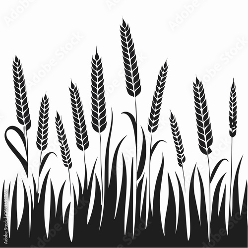 Prairie grass silhouette. This image shows a black silhouette of prairie grass with tall blades and feathery plumes, also known as wild grass or meadow grass. Vector clipart illustration design.