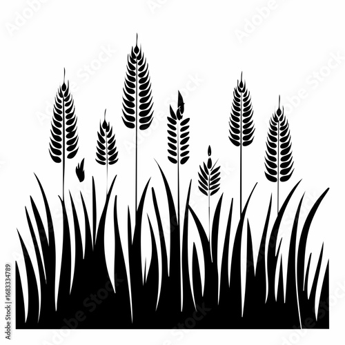 Prairie grass silhouette. This image shows a black silhouette of prairie grass with tall blades and feathery plumes, also known as wild grass or meadow grass. Vector clipart illustration design.