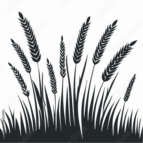 Prairie grass silhouette. This image shows a black silhouette of prairie grass with tall blades and feathery plumes, also known as wild grass or meadow grass. Vector clipart illustration design.