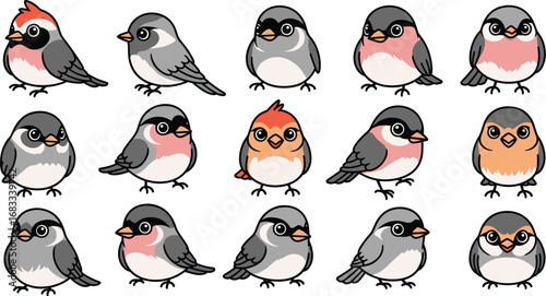 Collection of fifteen cute cartoon birds with varied plumage and distinct markings.