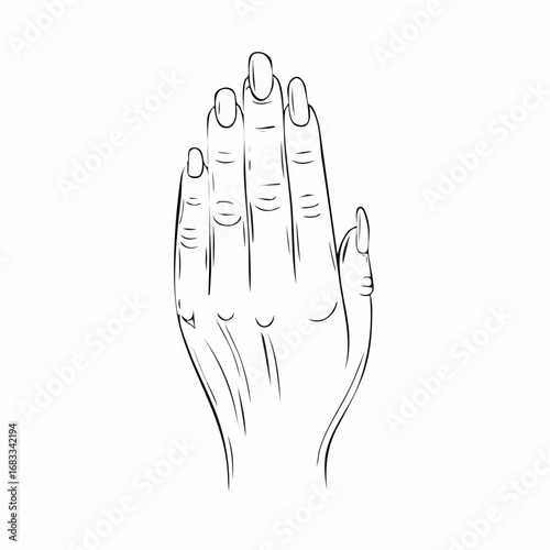 Hand nail drawing. It is a black and white outline image of a hand with visible nails, emphasizing the details of the fingernails. Vector sketch line art draw.