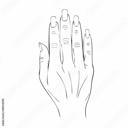Hand nail drawing. It is a black and white outline image of a hand with visible nails, emphasizing the details of the fingernails. Vector sketch line art draw.