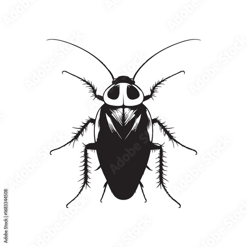 Cockroach Silhouette Vector Illustration, Solid White Background.