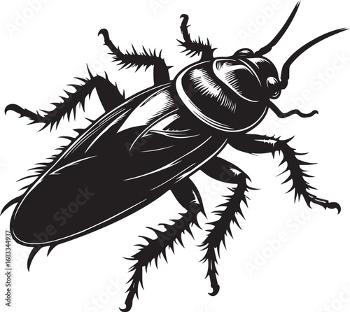 Cockroach Silhouette Vector Illustration, Solid White Background.